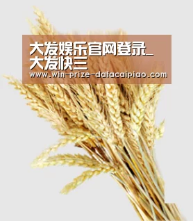 大发娱乐官网登录_大发快三