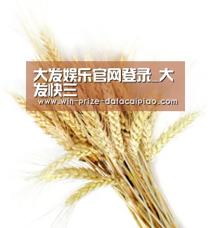 大发娱乐官网登录_大发快三