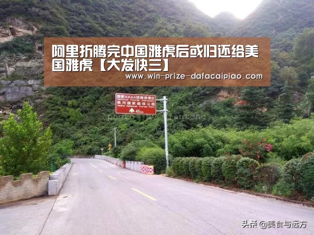 大发快三
