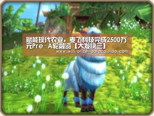 大发快3计划