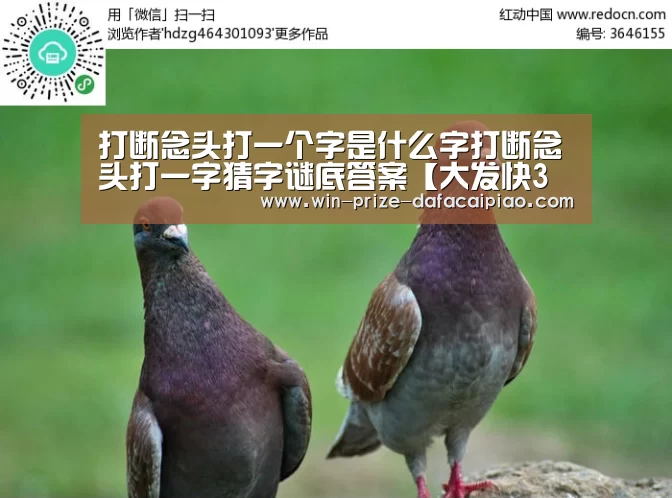 大发快三