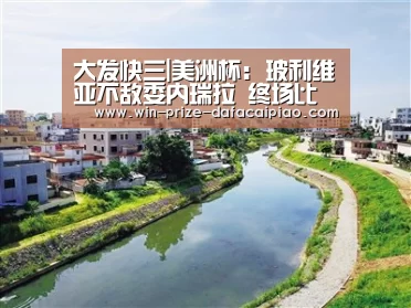 大发快三