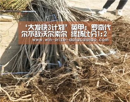 大发快三