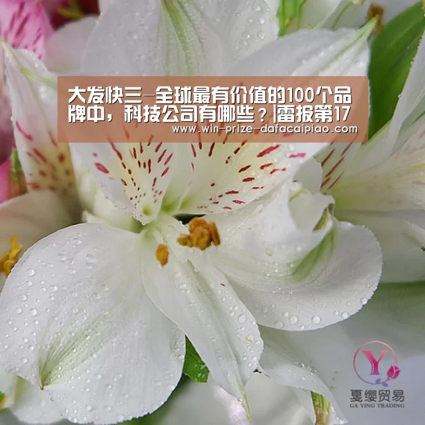 大发快3计划