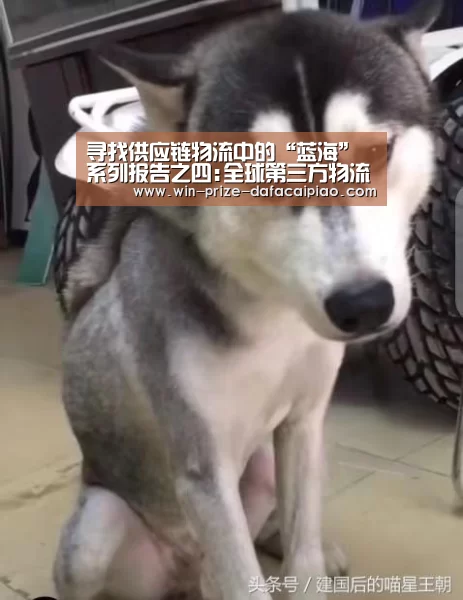 大发快三