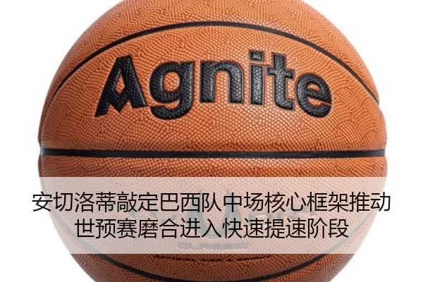 img_1780767541960_699_1_580.jpg