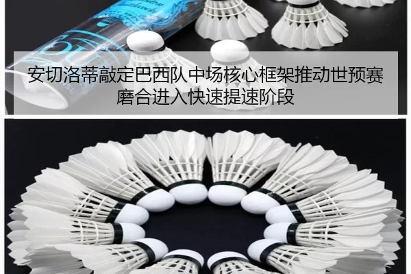 安切洛蒂敲定巴西队中场核心框架推动世预赛磨合进入快速提速阶段
